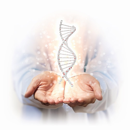 Genetica ADN